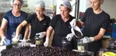 Ayvalık'tan Hong Kong'a 150 Bin Dolarlık Zeytin Gönderildi