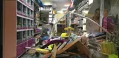 Minibüs Petshop'a Daldı