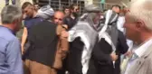 Şırnak AK Parti Şırnak Milletvekili Adayı Lezgin Adıyaman Kalp Krizinden Öldü