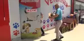 Zonguldak Endenozya'dan Getirttiği Tavuğu Ölünce Otopsi Yaptırdı