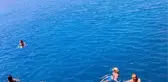 Orak Adası'nda Denize Girenlere Caretta Caretta Saldırısı