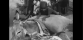 Hindistan Bağımsızlığının 70. Yıldönümünü Kutluyor