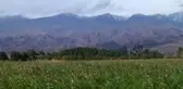 Kırgızistan'daki Karahanlılara Ait Türbede Ilginç Bulgu