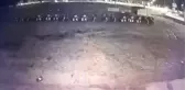 Sakarya'da Trafik Kazası: 4 Yaralı