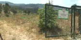Üç Genç Kadın Çiftçi Bin 500 Rakımda Başarıya Uzandı