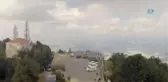 Ormandan Temizlik Canavarı Çıktı