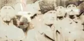 Türkiye Şehitlerini Anıyor