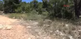 Antalya Cinayet Ormanı