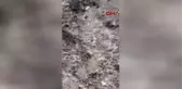 Antalya Hayvanseverlerin Hortumlu Kavgası