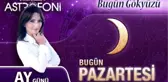 Özgür ve Enerjik Aslan Burcu