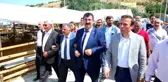 Kurban Fiyatlarındaki Artış Makul