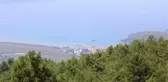 Ula 