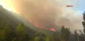 Antalya'da Orman Yangını
