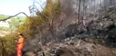 Kemer'de Orman Yangını