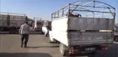 Ağrı'dan Batı İllerine 170 Bin Kurbanlık Gönderildi