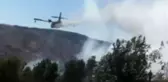 Malatya'da Orman Yangını