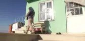 Bilecik'in Ormanları Ona Emanet