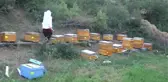 Girişimci Kadınlar - 