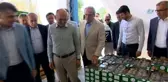 Siyah İncir Üreticisinin Yüzü Gülüyor