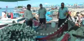 Batı Karadeniz'de Balıkçılar Kurban Bayramına Takıldı