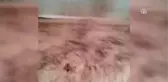 Denizli'de Şiddetli Yağış