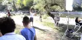 Usta Yönetmen Onur Tan'dan Sımsıcak Bir Aile Filmi: 