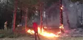 Göynük'te Orman Yangını