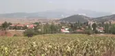 Mal Varlığım Askerlerime Helalühoş Olsun