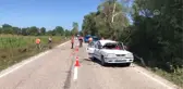 Seyir Halindeki Aracın Üzerine Ağaç Devrildi: 1 Ölü, 2 Yaralı