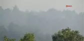 Bolu'daki Orman Yangını Söndürüldü