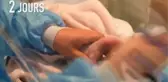 Fransa'da Doğan İlk Panda Bir Aylık Oldu