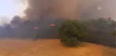 Göynük'teki Orman Yangını (4)