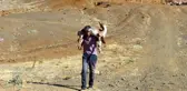 Adıyamanlı Çoban, Yaralı Dağ Keçisini 17 Km Sırtında Taşıdı, Evinde Bakıma Aldı