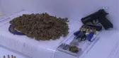Annesinin Aracında Uyuşturucu Bulunan Genç Adliyeye Sevk Edildi