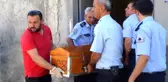 70 Yaşında Evlat Katili Oldu