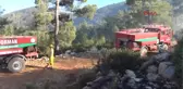 Bodrum'da 1 Hektarlık Ormanlık Alanı Küle Çevirdi