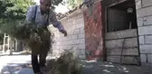 Tavşan Yetiştirme Hobisi Ekmek Kapısı Oldu