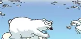 Ders Kitabına Giren Kutup Ayılı Karikatürle İlgili Tartışmalara Çizeri Cevap Verdi: Sorsanız Söylerdim