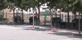 Köpeği Getirmeseydim, Gece Yatamazdım