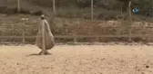 Renkli Kaymakam 