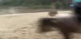 Aktör Değil Kaymakam