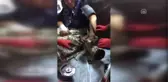 Elini Kıyma Makinesine Kaptıran Kadının İmdadına İtfaiye Yetişti