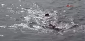 Isparta Sakin Şehir' Eğirdir'de Triatlon Heyecanı