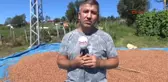 Ordu Üretici Fındığını 2 Bin Rakımlı Yaylalarda Kurutuyor