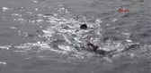 Sakin Şehir' Eğirdir'de Triatlon Heyecanı