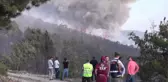 Orman Yangını (2)