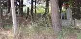 Sakarya Mezarlığın Satılmasına Tepki Gösterdiler