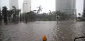 Irma Kasırgasının Vurduğu Florida'da 30 Bin Türk Mağdur! Aralarında Ünlü İsimler de Var