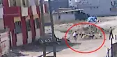 Koyun Hırsızları Kamerada