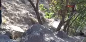 Nevşehir'de Ağaçlık Alanda Erkek Cesedi Bulundu